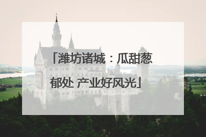 潍坊诸城：瓜甜葱郁处 产业好风光